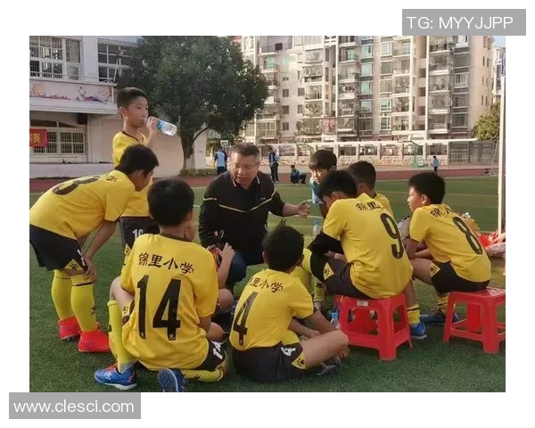 南京排球队的崛起之路：从默默无闻到联赛强队的成长历程