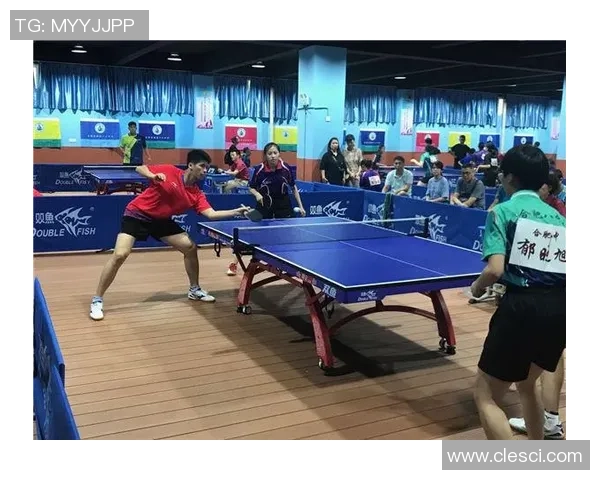 杭州乒乓球队与重庆乒乓球队耐力较量赛后深度分析与总结 杭州乒乓球队与重庆乒乓球队耐力较量赛后深度分析与总结