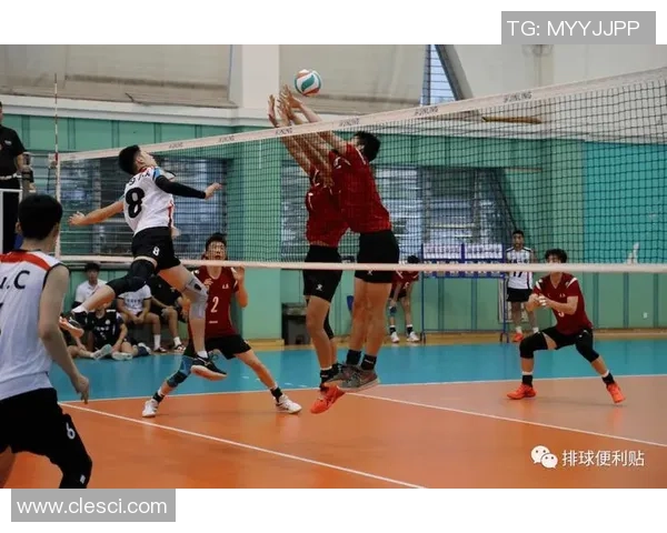 重庆排球队在钻石联赛中的默契配合与战术执行分析