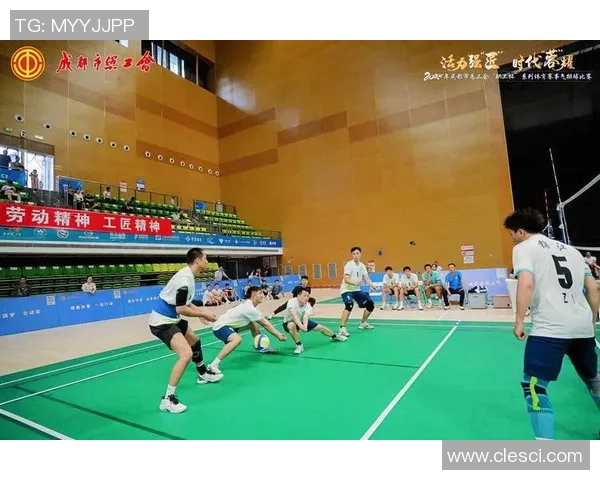 成都排球队的训练与比赛状态全景揭秘助力排球巨献的背后故事