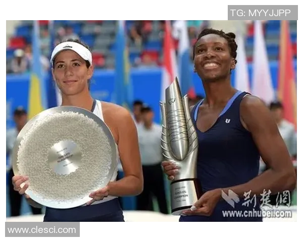 武汉网球队与南京网球队对决技术分析与赛后总结